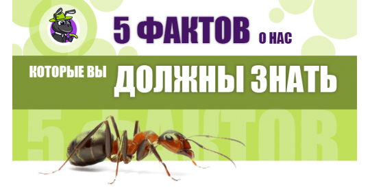 Лучше всего о нас расскажут 5 фактов