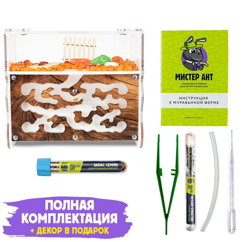Муравьиная ферма Вертикаль "Дерево" (ПОЛНЫЙ КОМПЛЕКТ) Муравьиная ферма Вертикаль "Дерево" (ПОЛНЫЙ КОМПЛЕКТ)