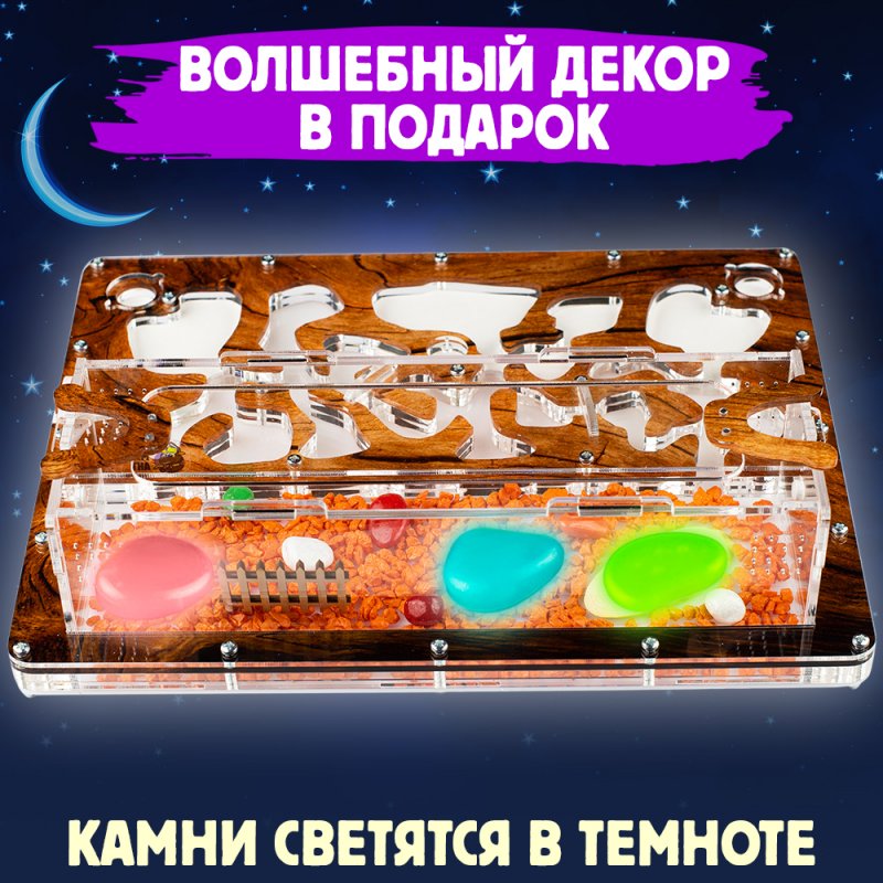 Формикарий Макси "Дерево" Формикарий Макси "Дерево"
